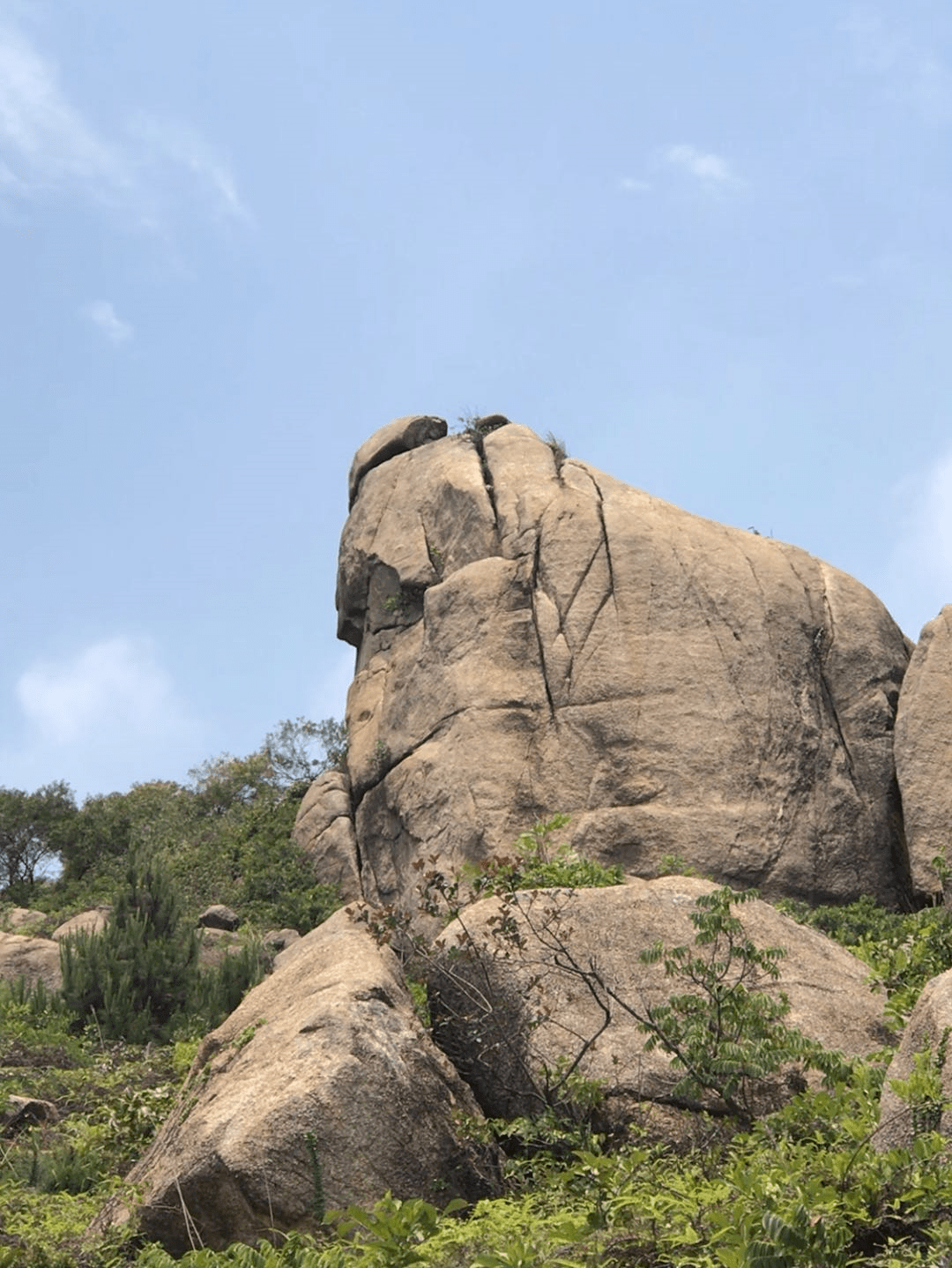 甘伟祥惠来奇石系列十二生肖的烙印