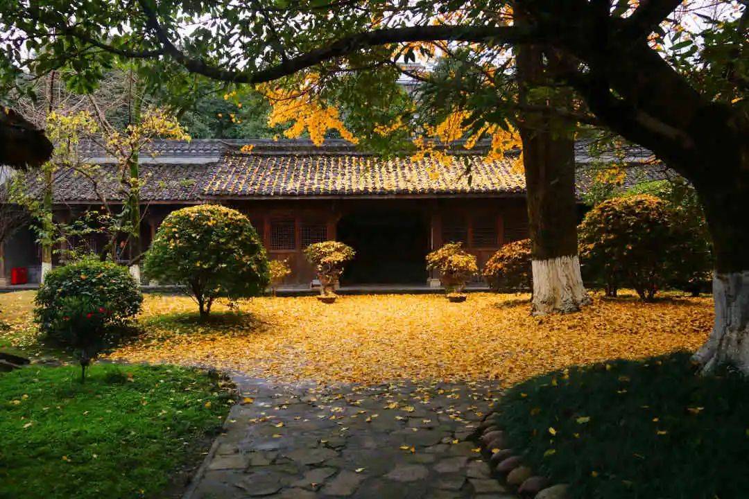 郭沫若故居后花园寻幽赏银杏绝佳地