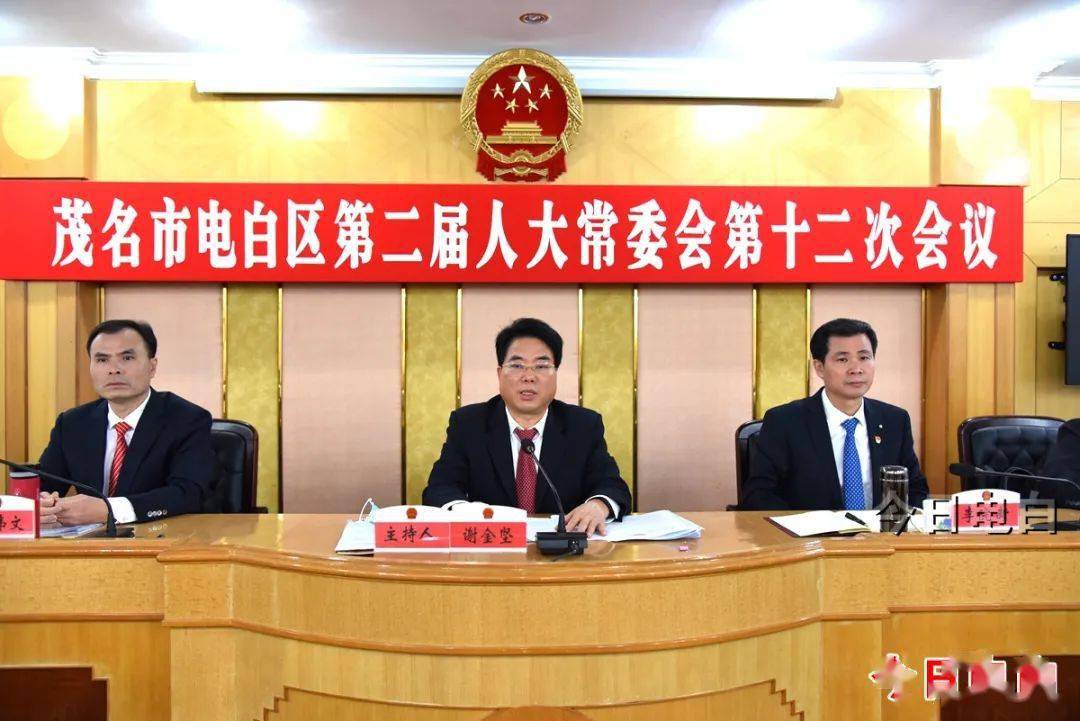 黄东明任电白区副区长,代理区长_有关