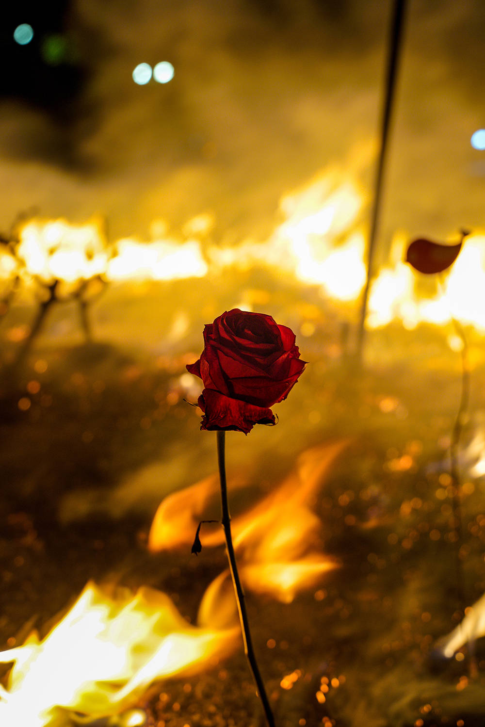 6月14日,美国亚特兰大市,抗议者在温蒂汉堡(wendys)快餐厅纵火,抗议
