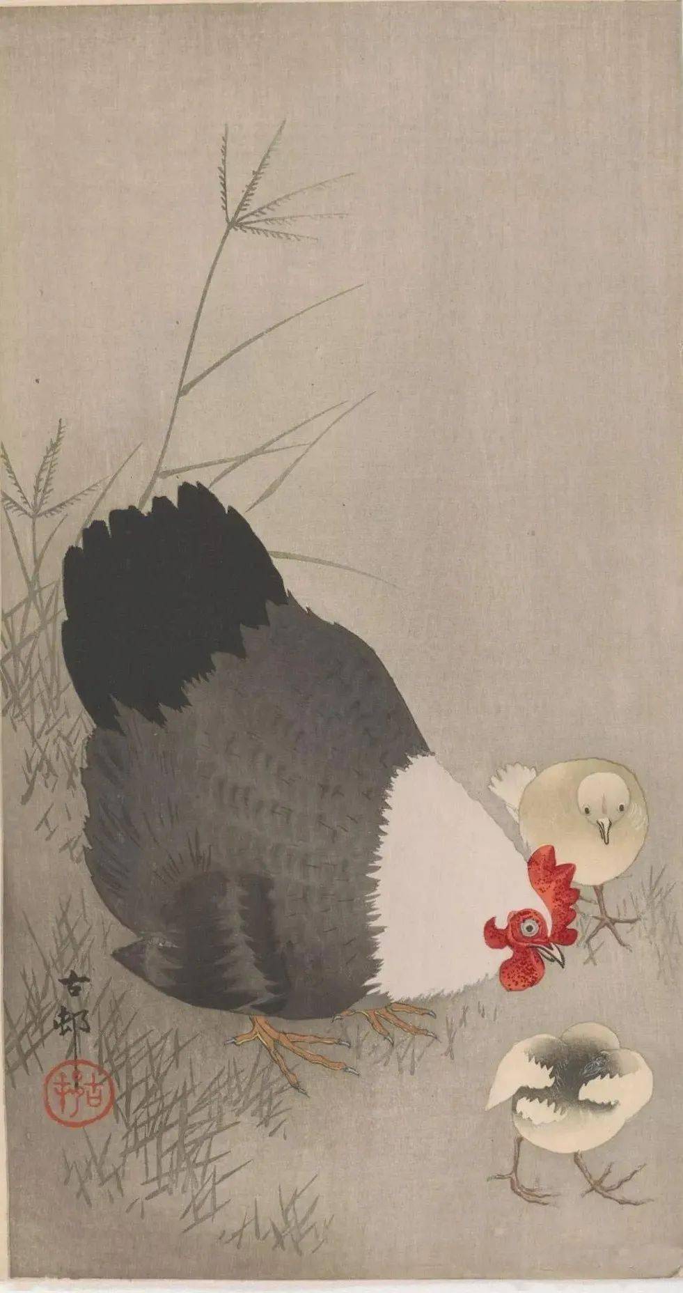 日本绘画大师的花鸟画淡雅清新