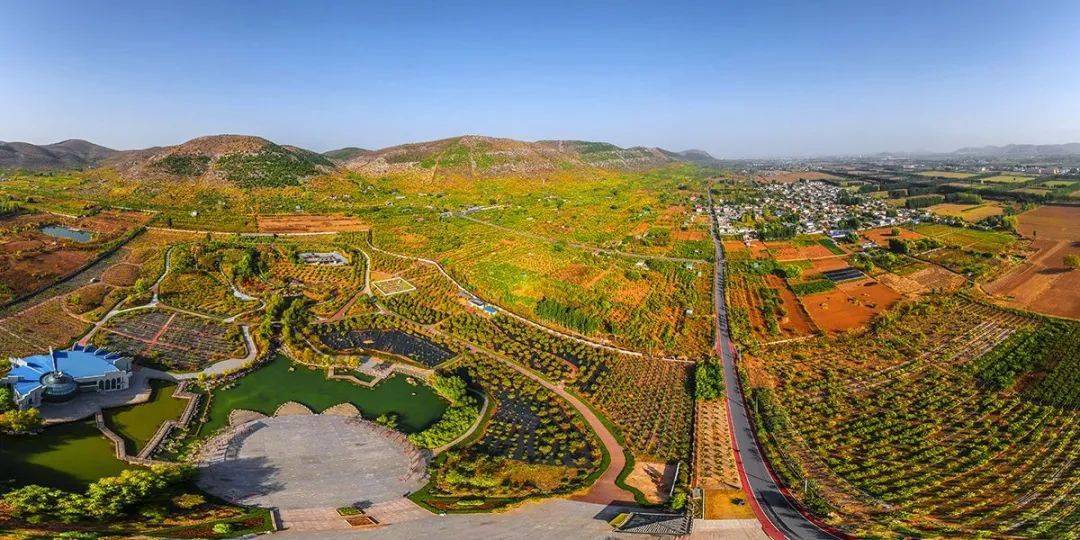 榴乡峄城美云端俯瞰冠世榴园