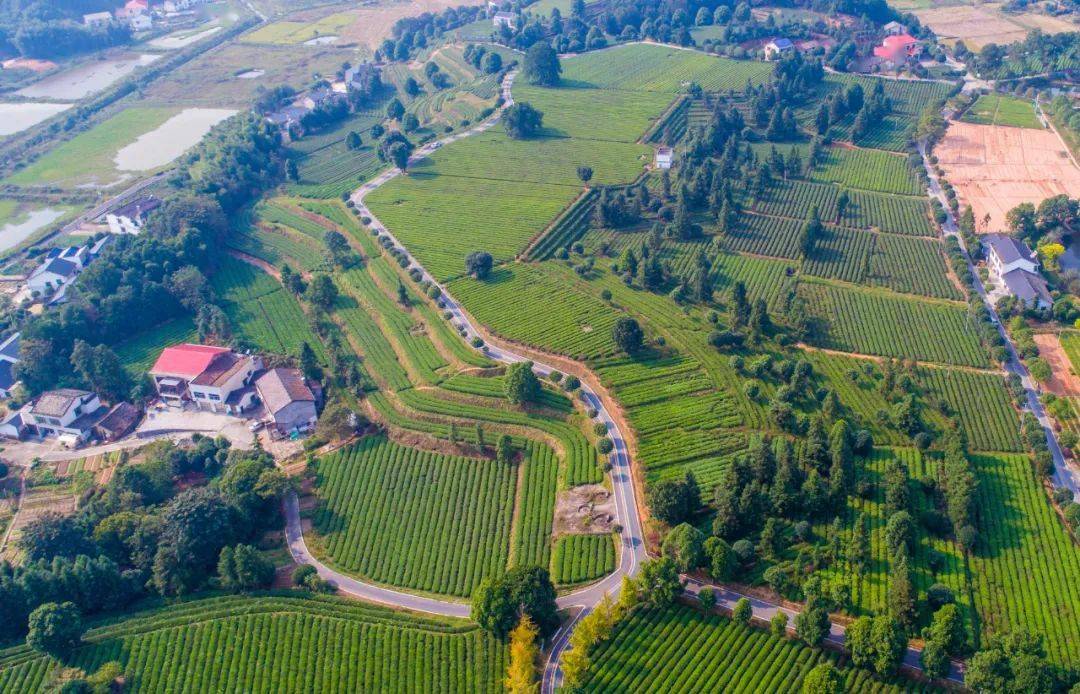 出游被称为小长沙的金井镇带你感受慢生活里的幸福和美好