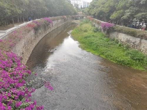广州治水提交成绩单 雨污分流推动黑臭水体长制久清