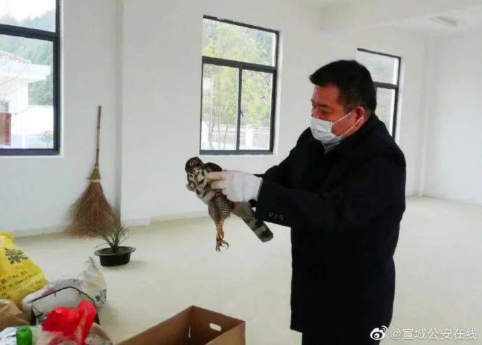 宣城公安又名动物园园长为啥