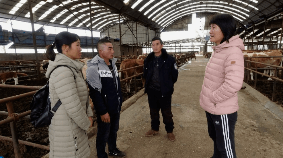 砚山县平远镇女人图片