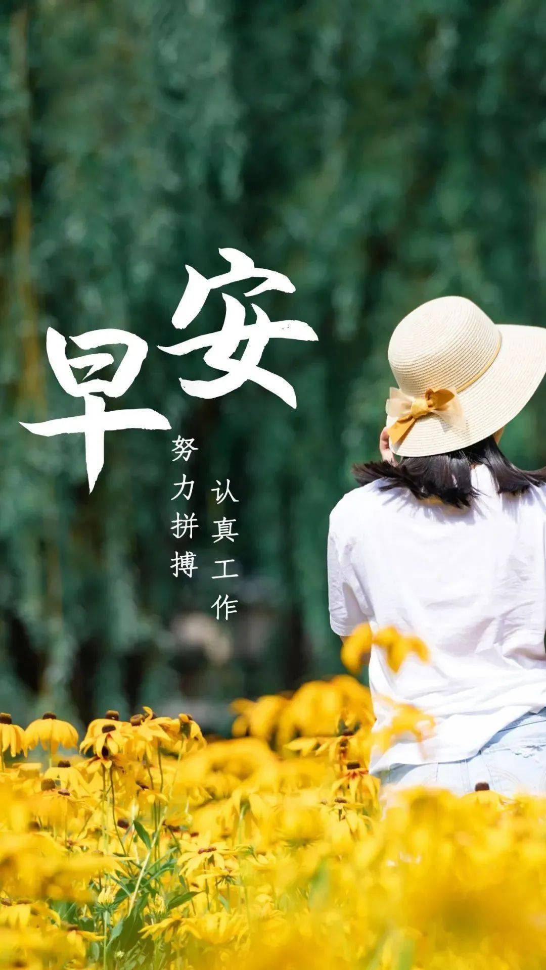 1226早安新的一天新的开始