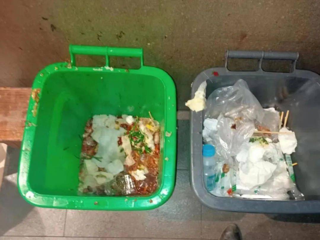 因将易腐垃圾和其他垃圾混放福田荷叶塘12家餐饮单位被处罚