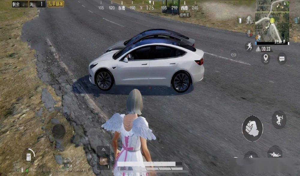 top5:晶翼女神,目前已知有2套.