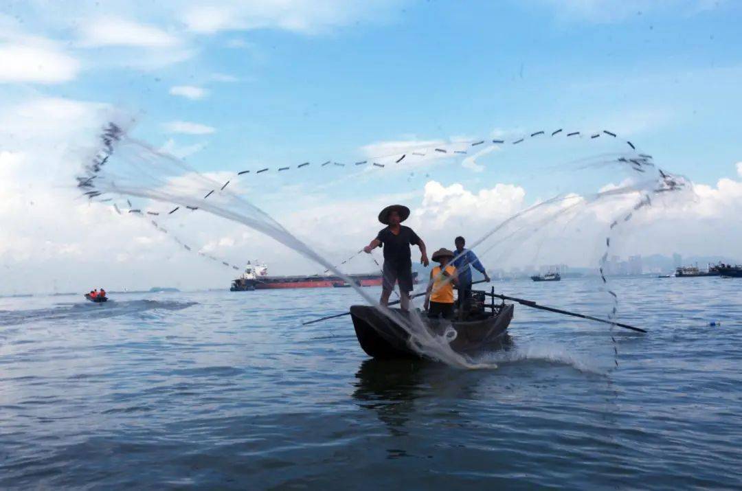 珠江开渔2020年8月16日,虎门珠江口,一位渔民正在撒网捕鱼.