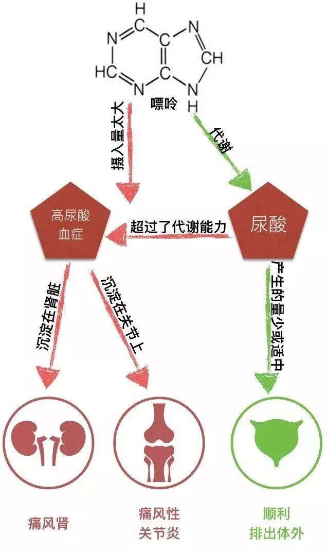 排尿酸 来自搜狐网