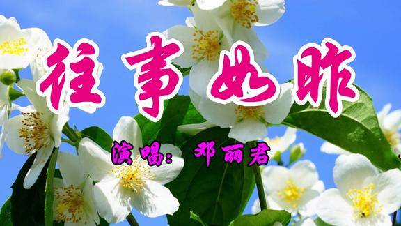 邓丽君一首经典情歌往事如昨好听至极