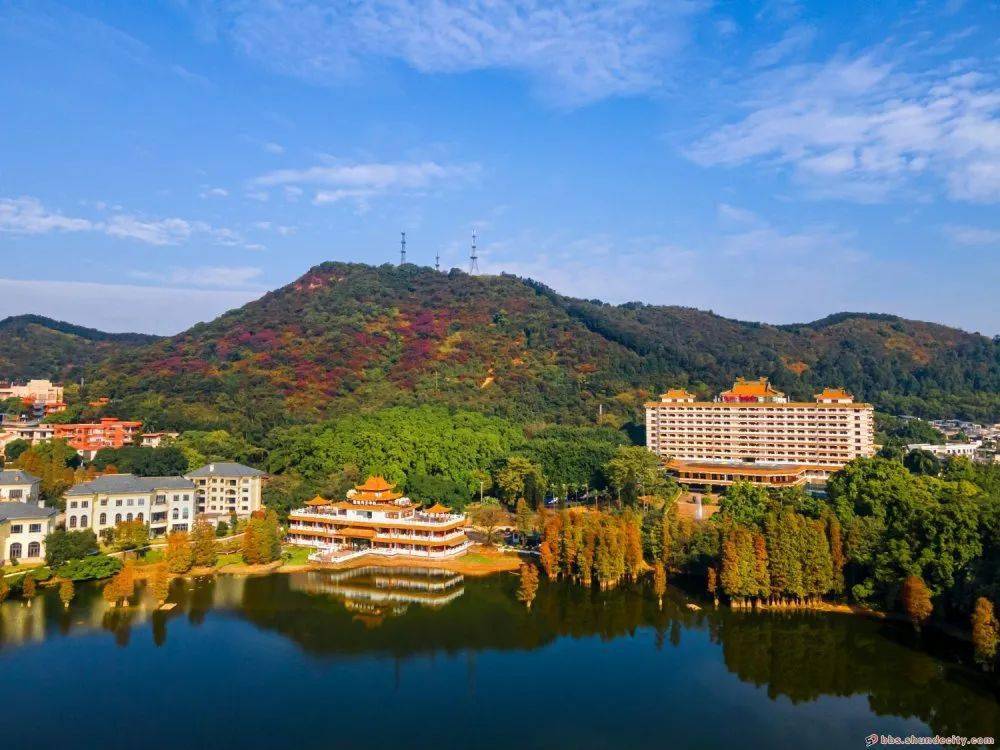 顺德仙泉酒店前▼就在顺德这个地方哦!想get同款大片?