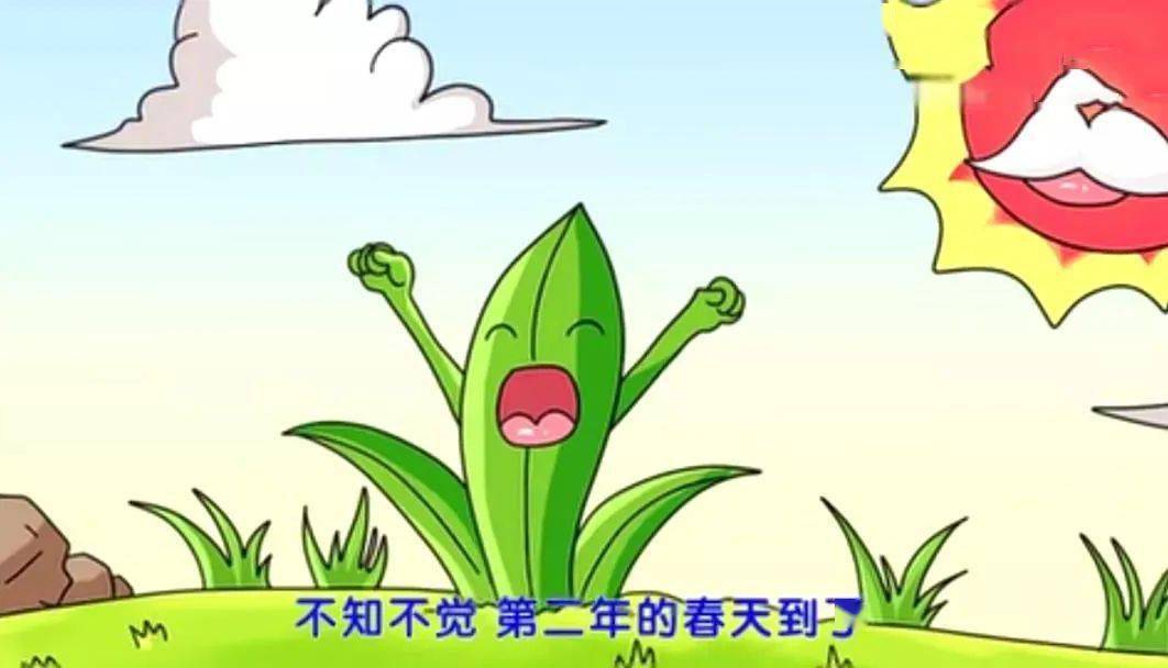 给小朋友的睡前故事丨骄傲的大树