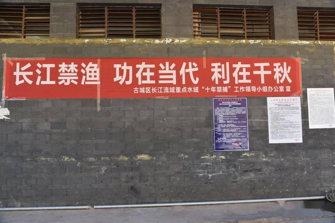 区农业农村局开展金沙江水域禁渔禁捕宣传活动