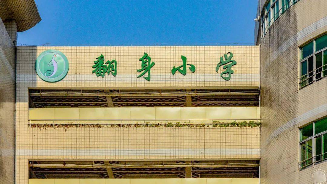 一条路的两边,小学中学都集齐了,从翻身小学到安乐小学,本以为翻身