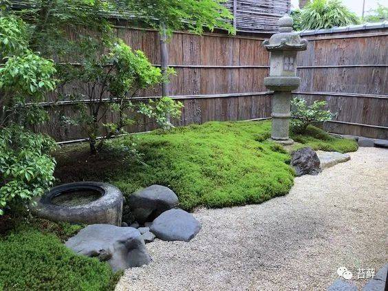 不适合养苔藓景观的院子10大总结错过可要吃大亏
