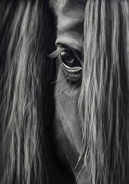 外国女版冷军一张卡片般大小的画售价5000作品骗过无数人的眼睛