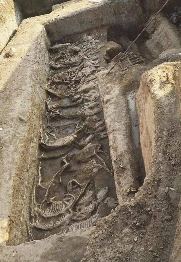 一座墓撑起了太原的赵家文化