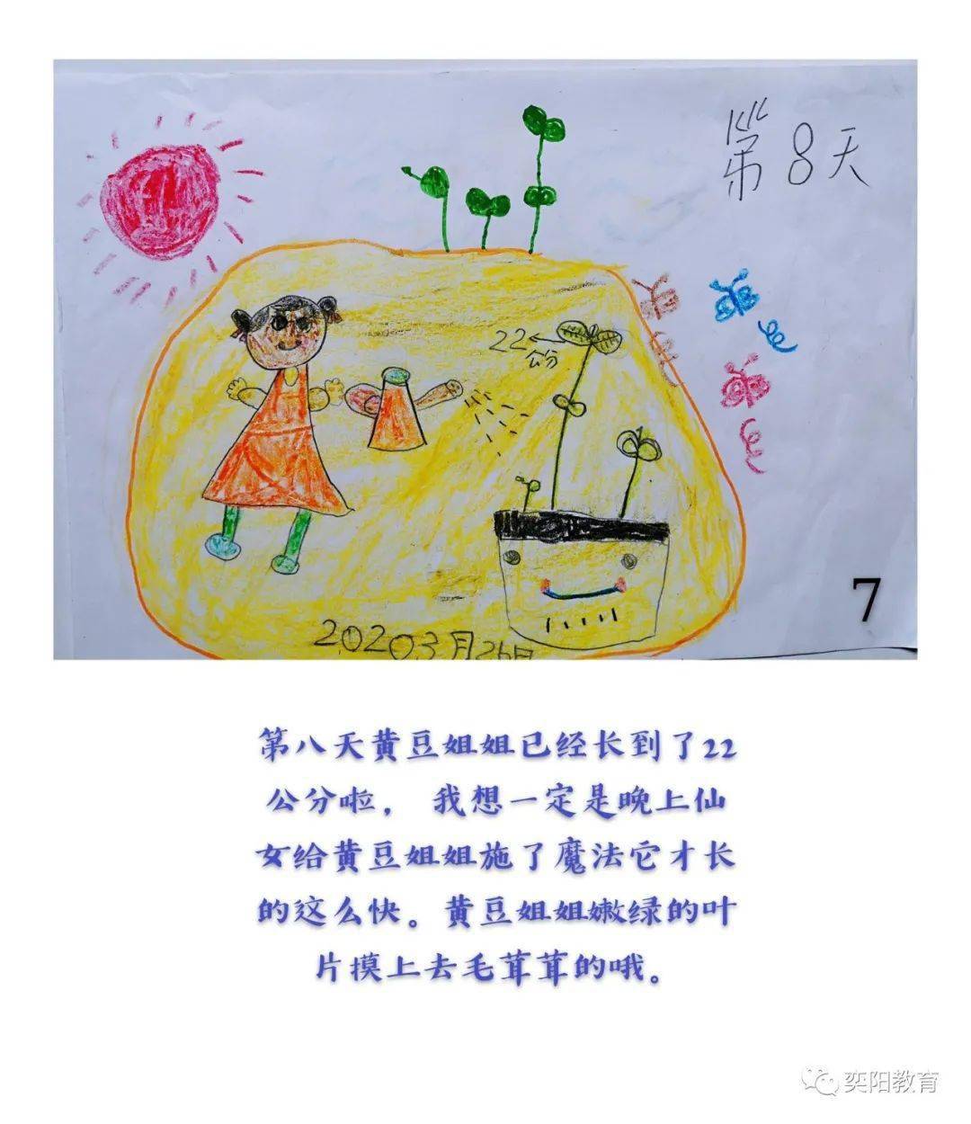 种子成长的故事第十六届儿童自制图画书大赛作品展之七