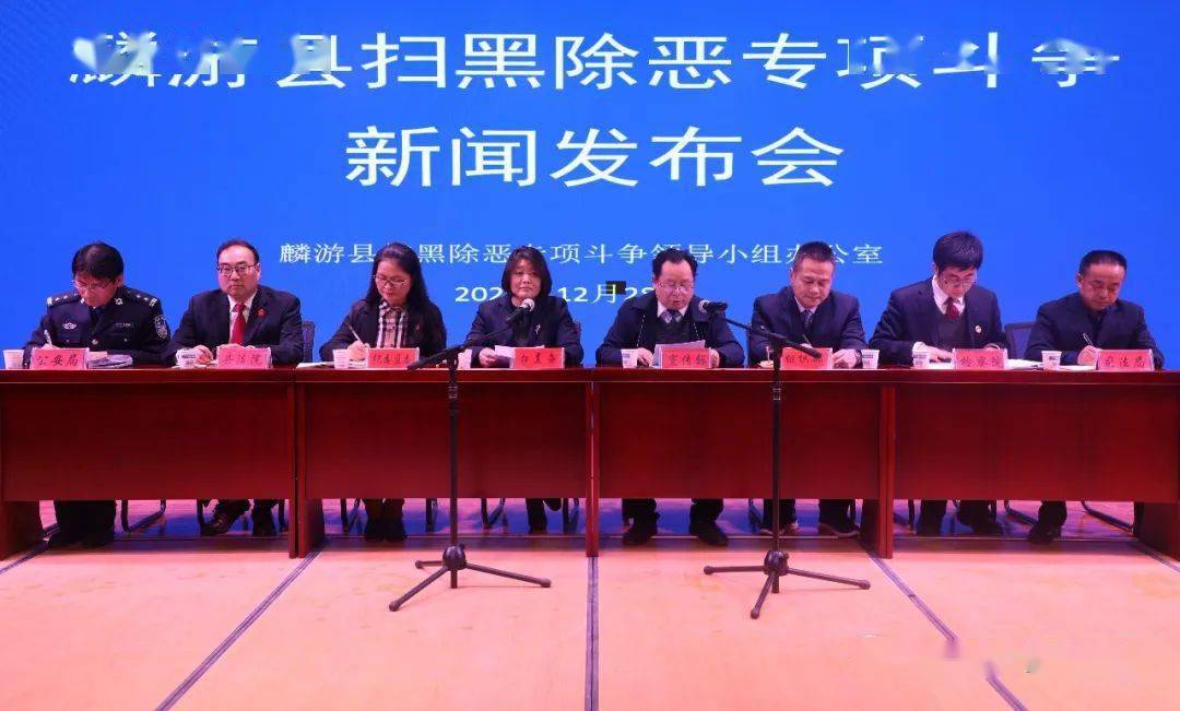 麟游县召开扫黑除恶专项斗争新闻发布会