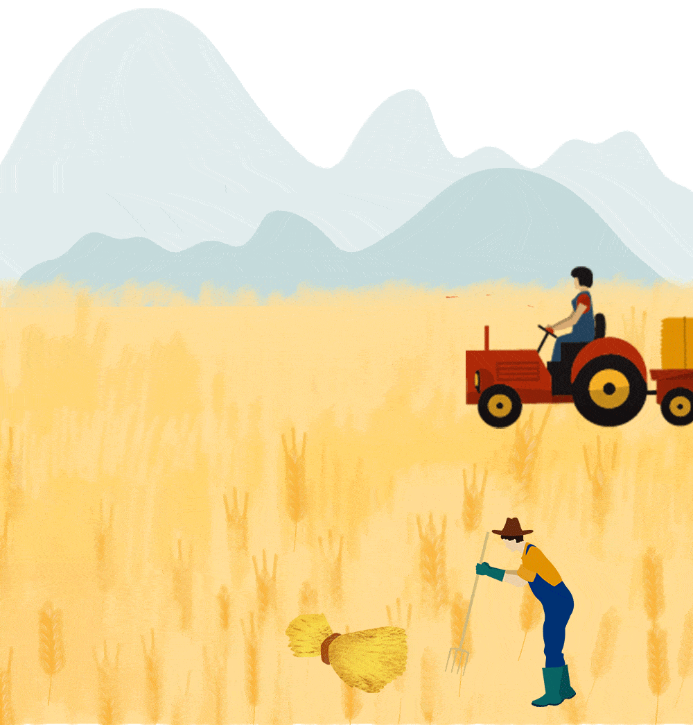 文明校园走进康县望关镇中心小学看这里的特色农耕文化