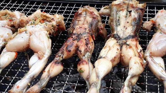 原来青蛙可以这样烤着吃有多少人敢这样做