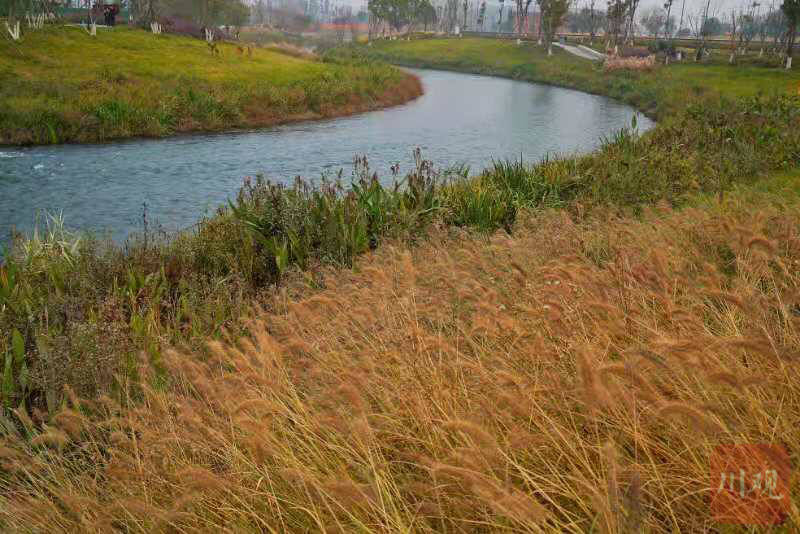 百县千村行353丨长流河公园见证老工业区新生