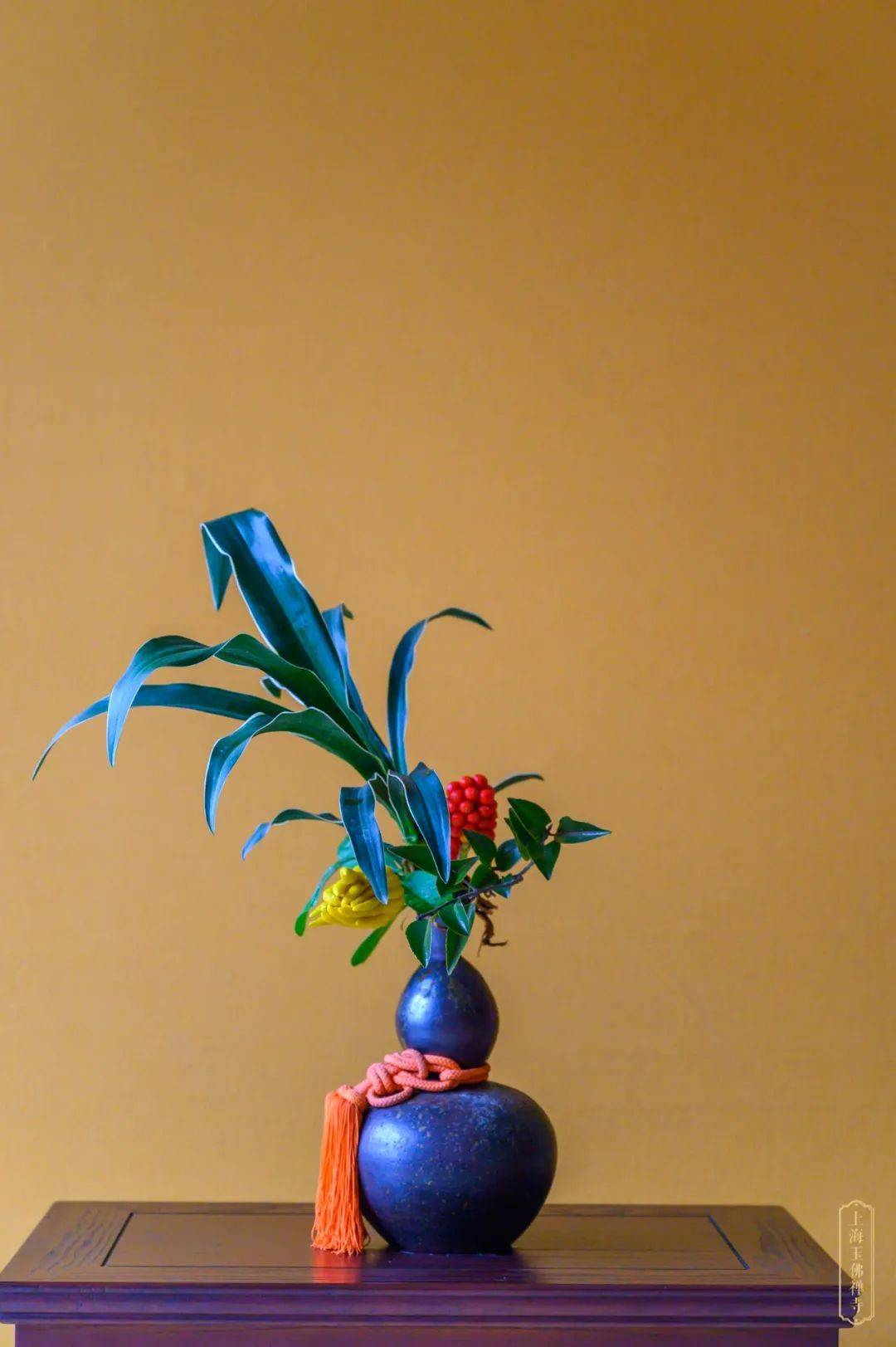 香期每一朵花代表一个善愿2021年来跟普贤菩萨学发愿