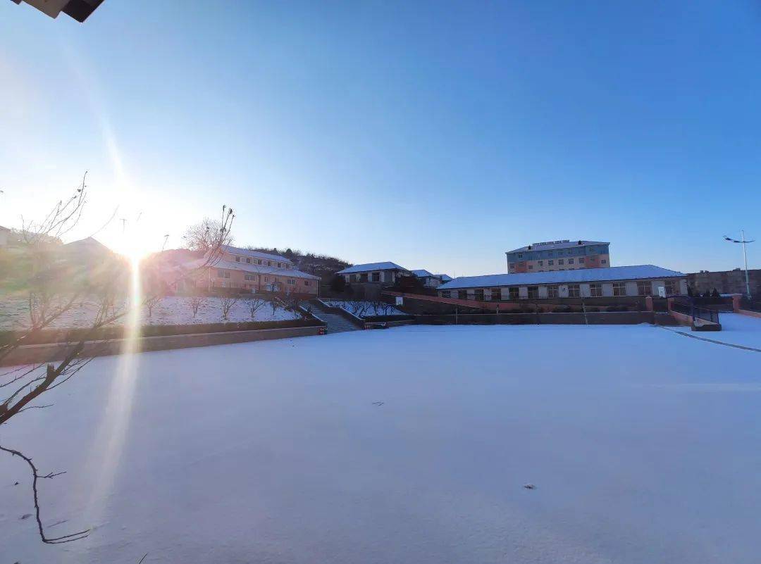 图说雪后校园别样景