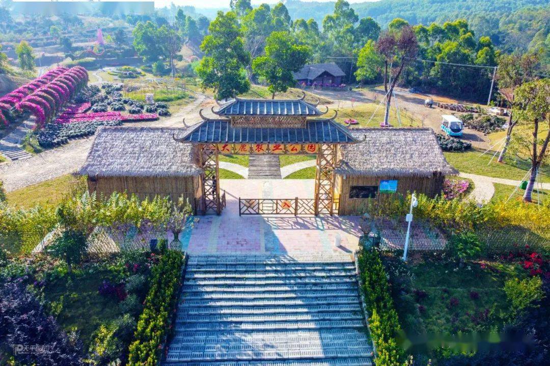 这一次,他们来到揭西县京溪园镇大鹿村,这是一个昔日的边远贫困小山村