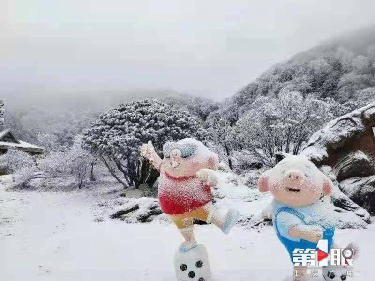 积雪10cm! “霸王级”寒潮来袭 重庆多地降大雪