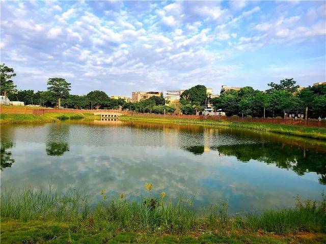 番禺赞石碁镇桥山村荣获广州最美村庄称号