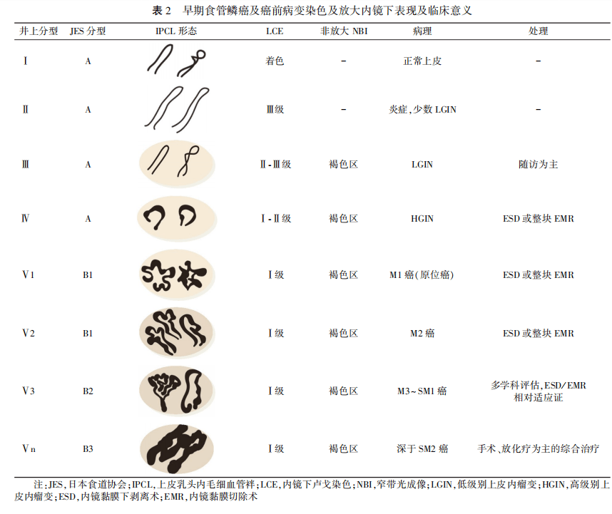 食管卢戈液染色检查图片