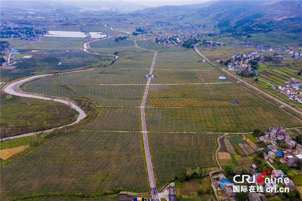 越西县现代农业(苹果)产业园区位于越西县大瑞镇瑞香村等7个村周边,是