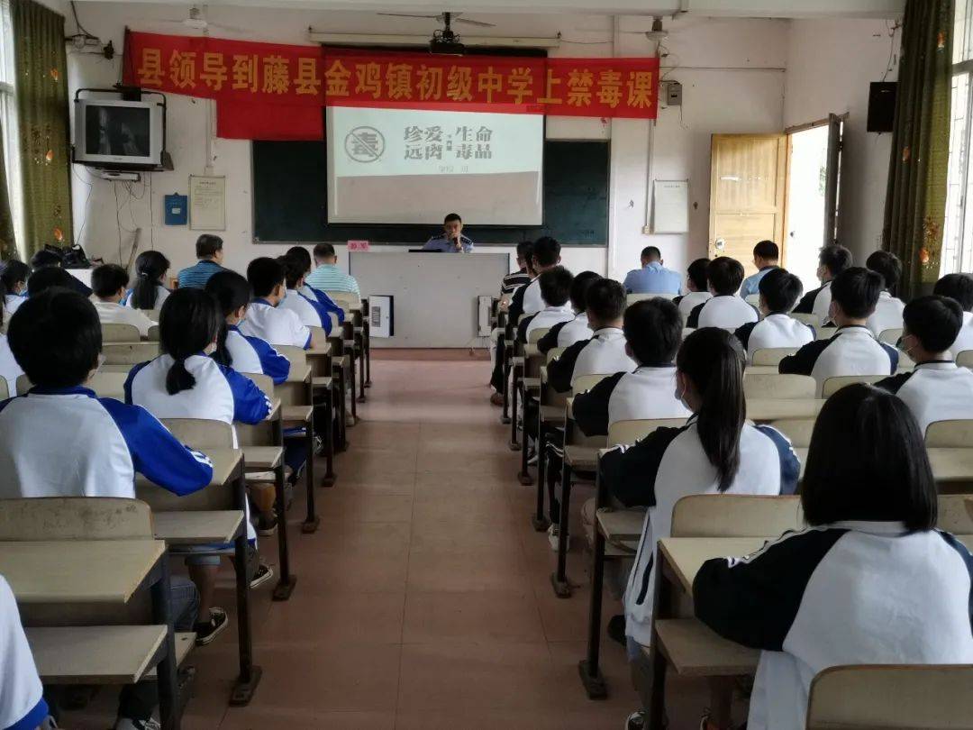 藤县副县长,县禁毒委副主任,公安局党委书记,局长彭军分别到金鸡镇