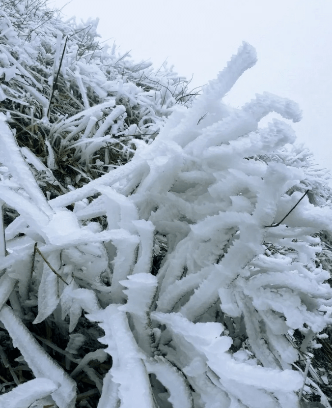 元旦2号出发余10个位冰雪云冰山云冰山千年瑶寨万山朝王