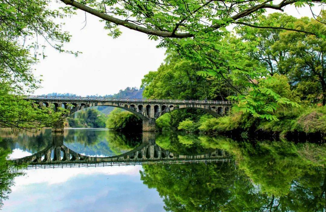 生态遂川县荣获2020中国候鸟旅养小城称号