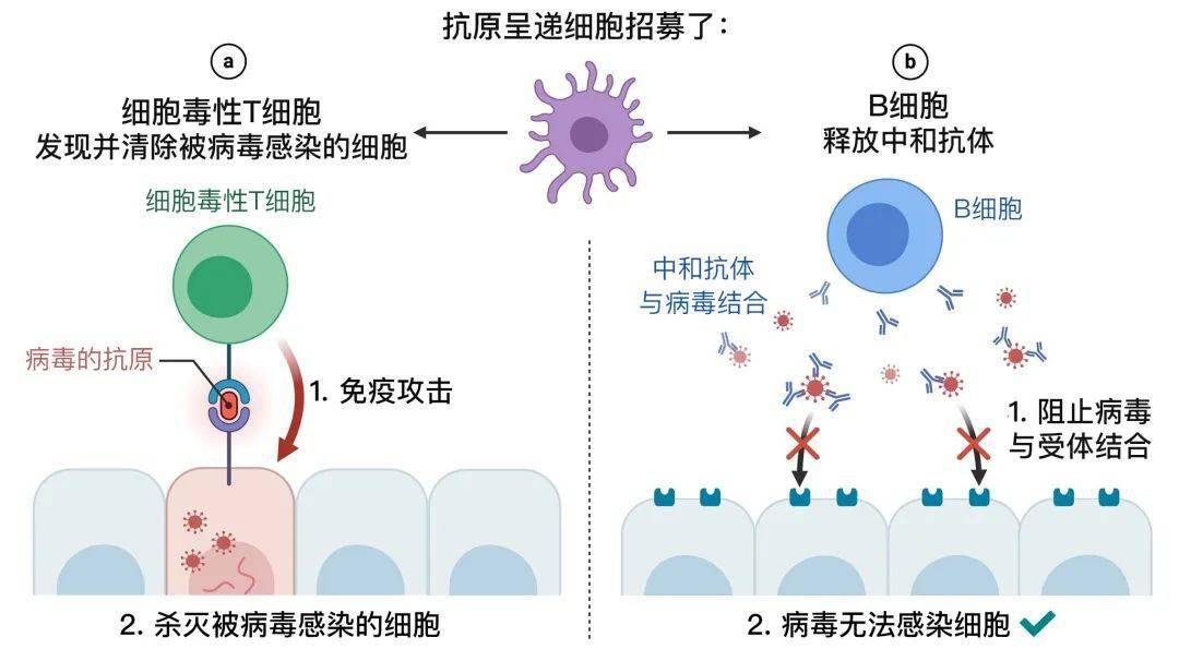 寻乌第一针新冠疫苗开打