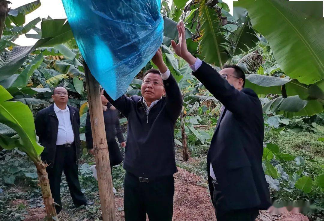 朱春保调研北部山区防寒抗旱,景区安全生产工作_生活