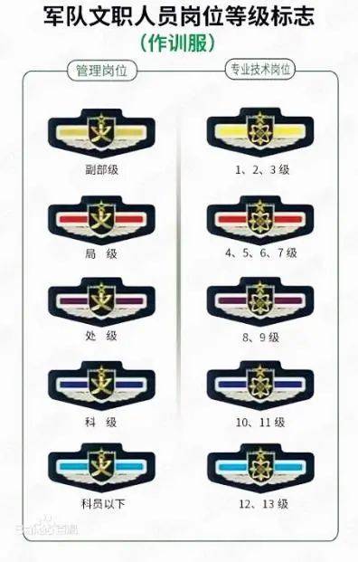 文职人员首次招录聘用的最高年龄分别为:(一)局级副职以上或者专业