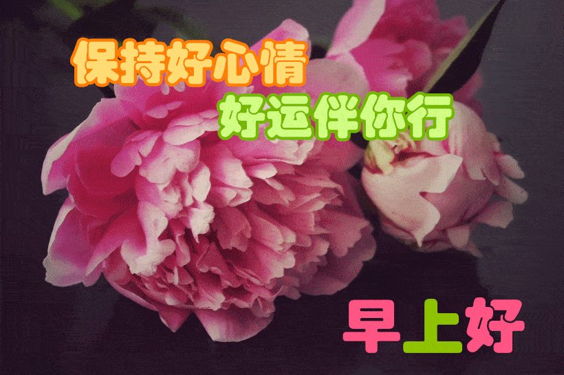 早上好问候美图,早安问候语句._祝福