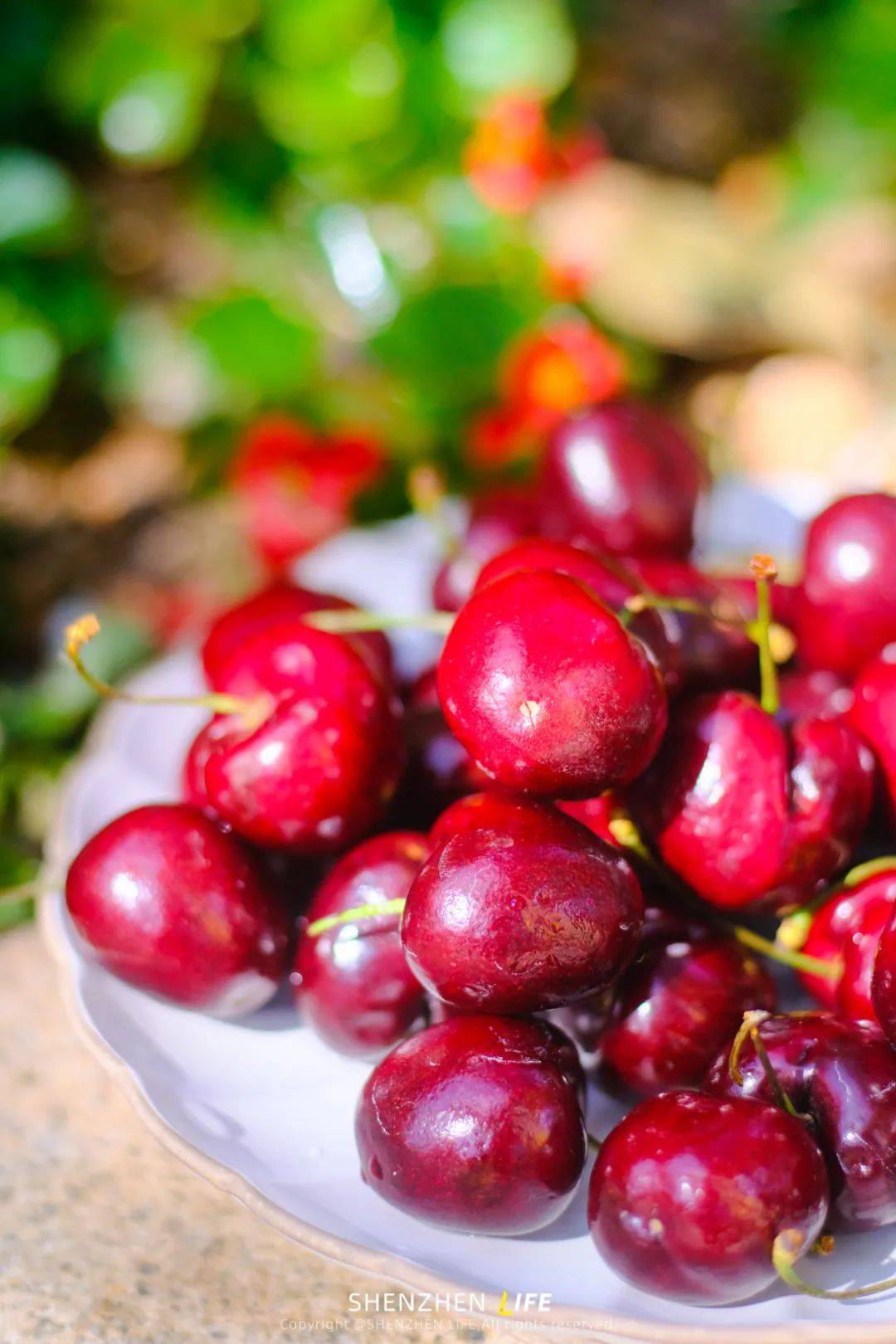 盒马鲜生带着超甜心"红宝石"来了!_车厘子