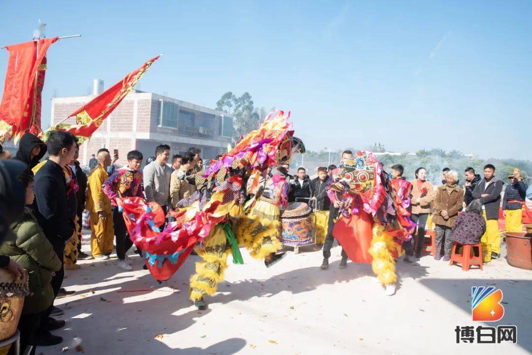 大炮眼福国家级非遗宾阳炮龙首次出现在博白就为了这件大事