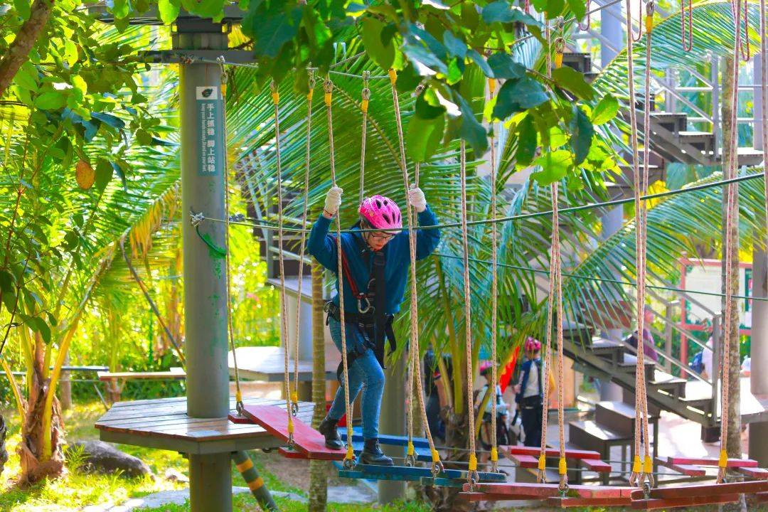 辞旧迎新万物更新2021年的第一天在呀诺达的他们是这么过的