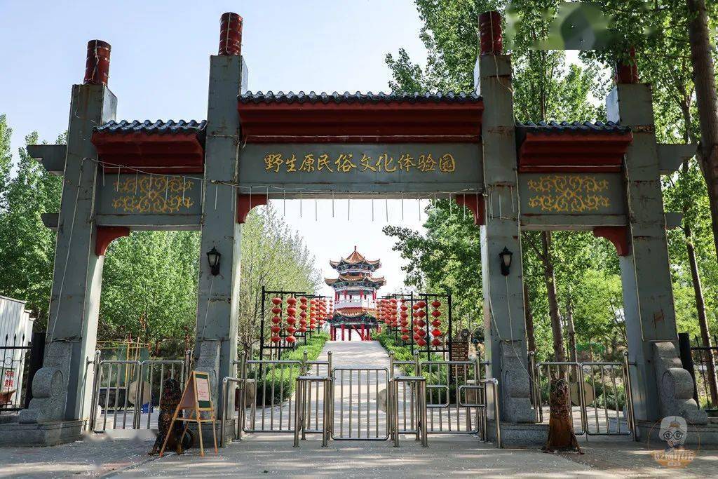 这个元旦,来野生原度假村"牛气冲天"!