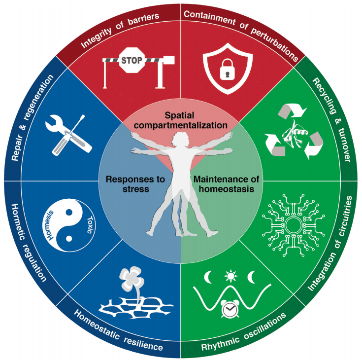 微观健康有八个维度