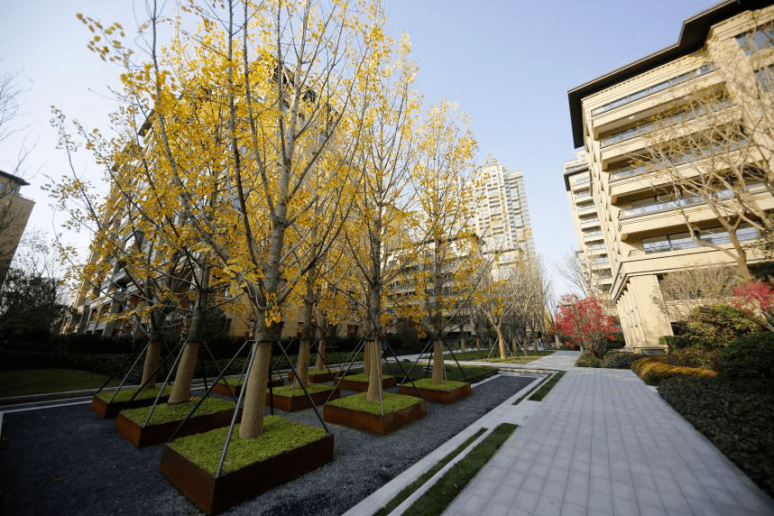 4年来全郑州最关注的项目万科美景世玠交房了