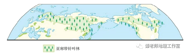 【今日头条】为什么亚寒带针叶林又叫泰加林?关于泰加林的地理密码!