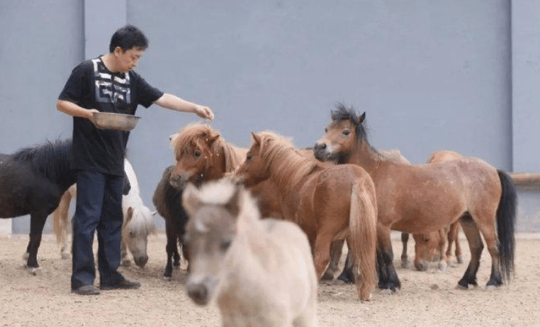 于谦的动物园名叫天精地华宠乐园,位于北京郊区,占地60余亩,拥有数